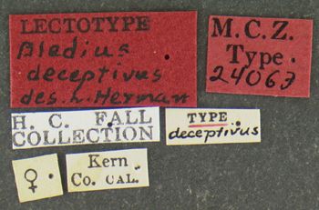 Media type: image;   Entomology 24063 Aspect: labels